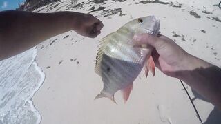 Playa del Carmen — Fishing Patrol: морская рыбалка для туриста, стоит ли пробовать?