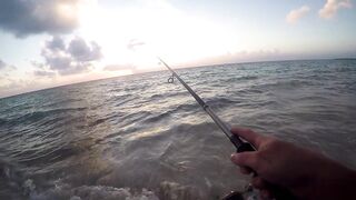 Playa del Carmen — Fishing Patrol: морская рыбалка для туриста, стоит ли пробовать?