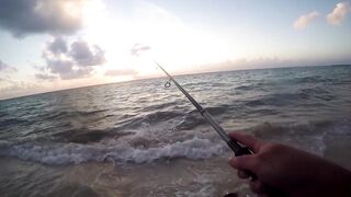 Playa del Carmen — Fishing Patrol: морская рыбалка для туриста, стоит ли пробовать?
