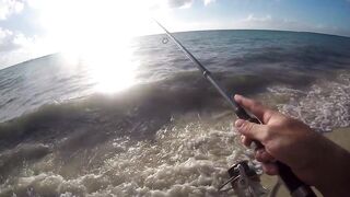 Playa del Carmen — Fishing Patrol: морская рыбалка для туриста, стоит ли пробовать?