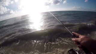 Playa del Carmen — Fishing Patrol: морская рыбалка для туриста, стоит ли пробовать?