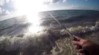 Playa del Carmen — Fishing Patrol: морская рыбалка для туриста, стоит ли пробовать?