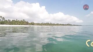 Занзибар снорклинг — Мнемба, Накупенда, Голубая лагуна: рыба и течения