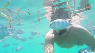 Занзибар снорклинг — Мнемба, Накупенда, Голубая лагуна: рыба и течения