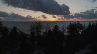 Занзибар снорклинг — Мнемба, Накупенда, Голубая лагуна: рыба и течения