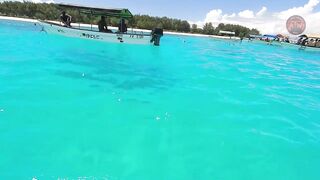 Занзибар снорклинг — Мнемба, Накупенда, Голубая лагуна: рыба и течения