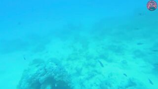 Занзибар снорклинг — Мнемба, Накупенда, Голубая лагуна: рыба и течения