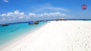 Занзибар снорклинг — Мнемба, Накупенда, Голубая лагуна: рыба и течения