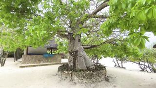 Мичамви, Pearl Beach — обзор отеля и клев по утрам на мелях