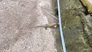 Мичамви, Pearl Beach — обзор отеля и клев по утрам на мелях