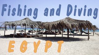 Красное море, Марса Алам: рыбалка и дайвинг в одном маршруте