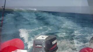 Красное море, Марса Алам: рыбалка и дайвинг в одном маршруте