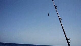 Красное море, Марса Алам: рыбалка и дайвинг в одном маршруте