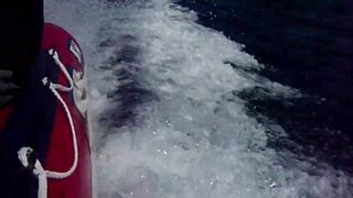 Красное море, Марса Алам: рыбалка и дайвинг в одном маршруте