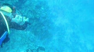 Красное море, Марса Алам: рыбалка и дайвинг в одном маршруте