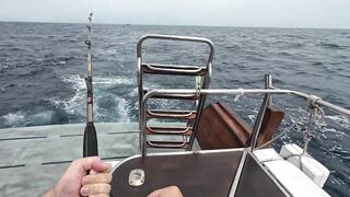 Пхукет — рыбалка на тунца: стоит ли чартер своих денег в сезон?