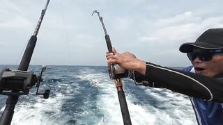 Пхукет — рыбалка на тунца: стоит ли чартер своих денег в сезон?