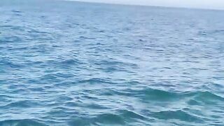 Симеиз — морская рыбалка со скал: окна течений и выбор приманки