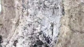 Симеиз — морская рыбалка со скал: окна течений и выбор приманки