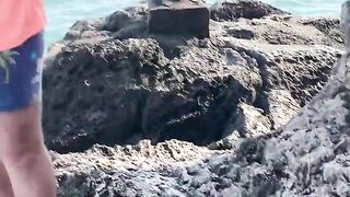 Симеиз — морская рыбалка со скал: окна течений и выбор приманки