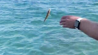 Симеиз — морская рыбалка со скал: окна течений и выбор приманки