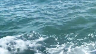 Симеиз — морская рыбалка со скал: окна течений и выбор приманки