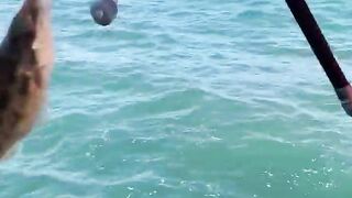 Симеиз — морская рыбалка со скал: окна течений и выбор приманки