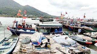 Хайнань, Ялунвань: рыбацкий порт — разгрузка неводов и аукцион