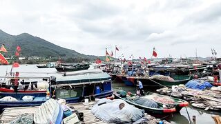 Хайнань, Ялунвань: рыбацкий порт — разгрузка неводов и аукцион