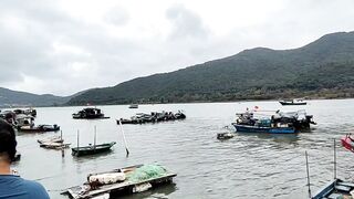 Хайнань, Ялунвань: рыбацкий порт — разгрузка неводов и аукцион