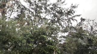 Хайнань, Ялунвань: рыбацкий порт — разгрузка неводов и аукцион