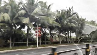 Хайнань, Ялунвань: рыбацкий порт — разгрузка неводов и аукцион