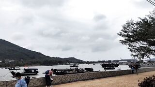 Хайнань, Ялунвань: рыбацкий порт — разгрузка неводов и аукцион