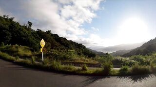 Пуэрто-Хименес, Оса — Коста-Рика: рыбалка в заливе и дельфины у борта