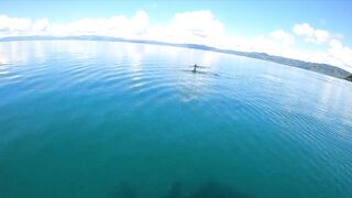 Пуэрто-Хименес, Оса — Коста-Рика: рыбалка в заливе и дельфины у борта