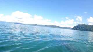 Пуэрто-Хименес, Оса — Коста-Рика: рыбалка в заливе и дельфины у борта