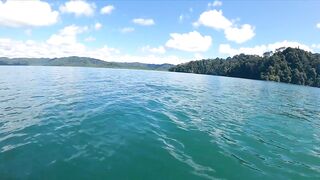 Пуэрто-Хименес, Оса — Коста-Рика: рыбалка в заливе и дельфины у борта