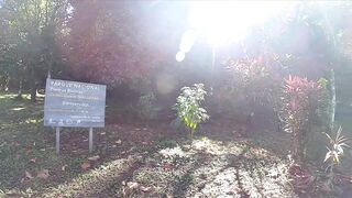 Пуэрто-Хименес, Оса — Коста-Рика: рыбалка в заливе и дельфины у борта