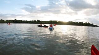 Пуэрто-Хименес, Оса — Коста-Рика: рыбалка в заливе и дельфины у борта