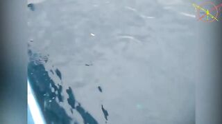 Фукуок, Вьетнам — рыбалка на острове: маршрут лодки и выбор приманки