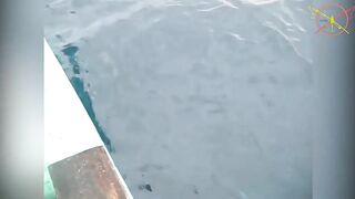 Фукуок, Вьетнам — рыбалка на острове: маршрут лодки и выбор приманки