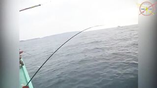 Фукуок, Вьетнам — рыбалка на острове: маршрут лодки и выбор приманки