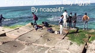 Александрия Бэй, Египет — причалы и точки для утреннего заброса