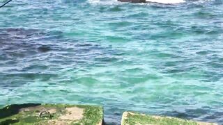 Александрия Бэй, Египет — причалы и точки для утреннего заброса