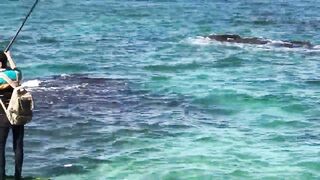 Александрия Бэй, Египет — причалы и точки для утреннего заброса