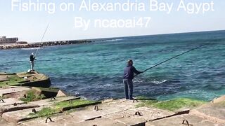 Александрия Бэй, Египет — причалы и точки для утреннего заброса