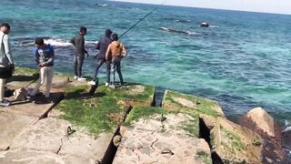 Александрия Бэй, Египет — причалы и точки для утреннего заброса