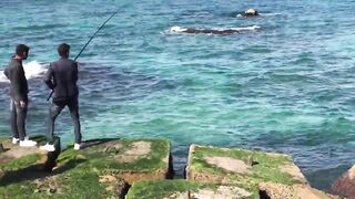 Александрия Бэй, Египет — причалы и точки для утреннего заброса