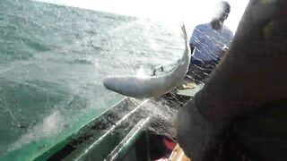 Санья, Южно-Китайское море — рыбалка у Capella: где держится хищник