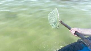 Линшуй, Хайнань — рыбацкая деревня: ловим и пробуем свежих морских ежей